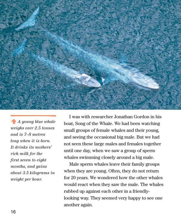 Face to Face with Whales. Level 5 / Face to Face with Whales. Level 5 Флип Никлин, Линда Никлин 9780008358082-4