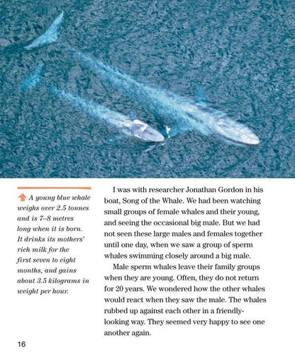 Face to Face with Whales. Level 5 / Face to Face with Whales. Level 5 Флип Никлин, Линда Никлин 9780008358082-4