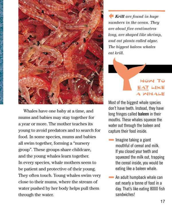 Face to Face with Whales. Level 5 / Face to Face with Whales. Level 5 Флип Никлин, Линда Никлин 9780008358082-5