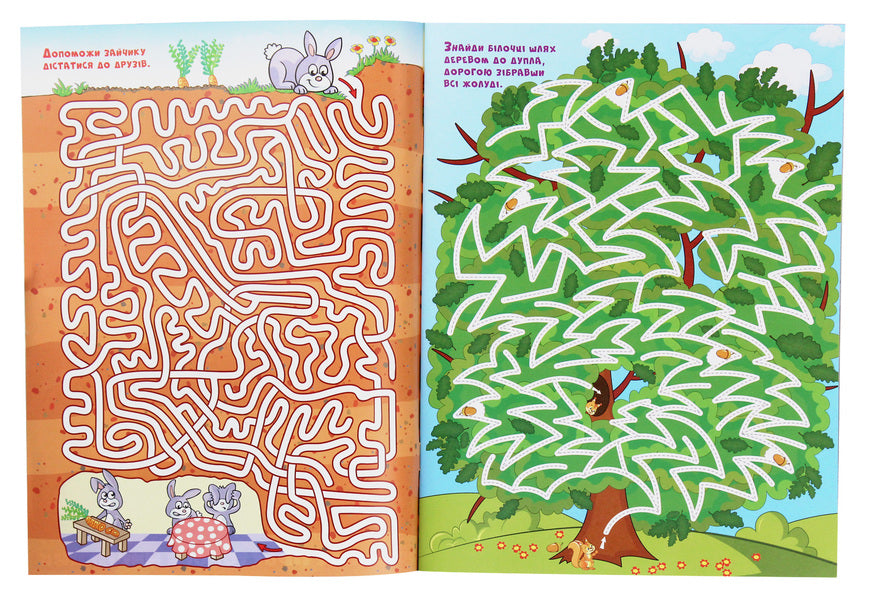 Fairytale Mazes For Children (Graphite) / Казкові лабіринти для дітей (графітова) / Author not specified 9786175369098-3