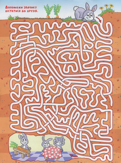 Fairytale Mazes For Children (Graphite) / Казкові лабіринти для дітей (графітова) / Author not specified 9786175369098-6