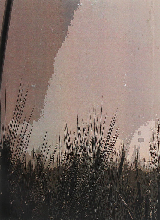 Famine in Ukraine / Голод на Україні Иван Герасимович 978-611-01-1819-4-2