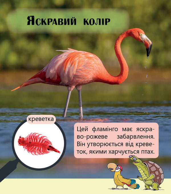 Fantastic plants and more. Level 3 / Фантастичні рослини і не тільки. Рівень 3 Джен Берчет, Сара Воглер 978-617-09-4032-2-3