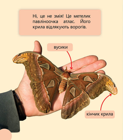 Fantastic plants and more. Level 3 / Фантастичні рослини і не тільки. Рівень 3 Джен Берчет, Сара Воглер 978-617-09-4032-2-5