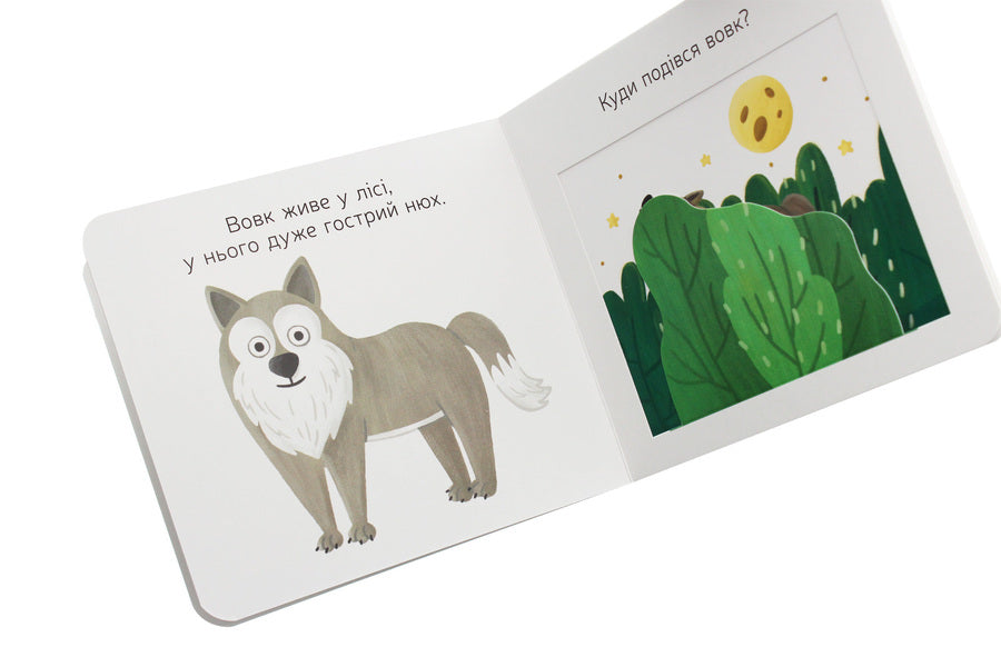 Favorite animals. Forest razbyshakis / Улюблені тваринки. Лісові розбишаки  9789667497545-5