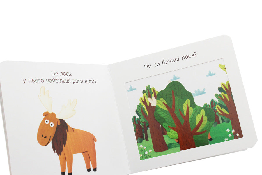 Favorite animals. Forest razbyshakis / Улюблені тваринки. Лісові розбишаки  9789667497545-6