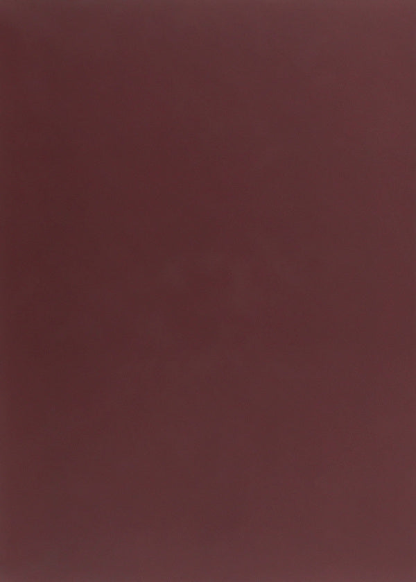 Femina cognita. Ukrainian woman in the word and dictionary / Femina cognita. Українська жінка у слові й словнику Алла Архангельская 978-966-489-480-4-2