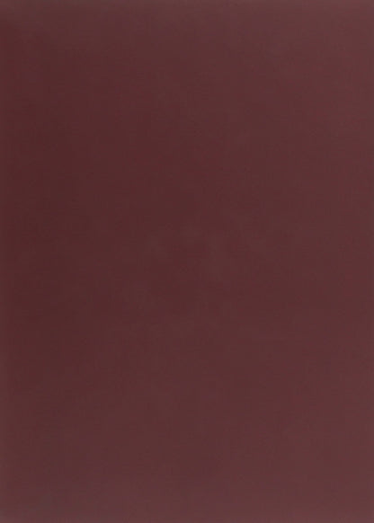 Femina cognita. Ukrainian woman in the word and dictionary / Femina cognita. Українська жінка у слові й словнику Алла Архангельская 978-966-489-480-4-2