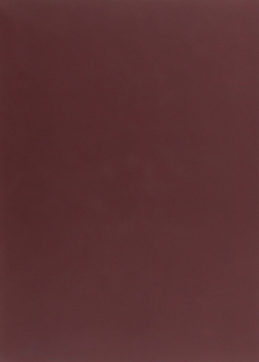 Femina cognita. Ukrainian woman in the word and dictionary / Femina cognita. Українська жінка у слові й словнику Алла Архангельская 978-966-489-480-4-2