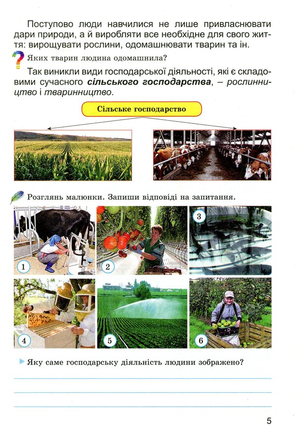 Financial literacy workbook. Financial arithmetic. 3rd grade / Зошит-посібник з фінансової грамотності. Фінансова арифметика. 3 клас Татьяна Гильберг, Оксана Юхимович 978-966-11-0793-8-5