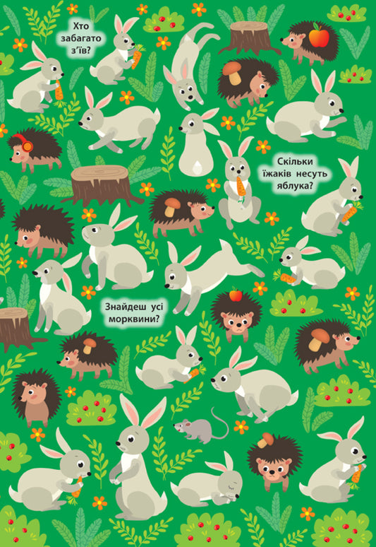 Find and show. Mysterious forest / Знайди та покажи. Таємничий ліс Екатерина Смирнова 978-966-284-924-0-2