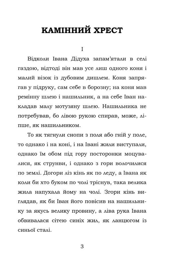 Fireplace Cross / Камінний хрест Vasily Stefanyk / Василий Стефаник 9786177841158-3