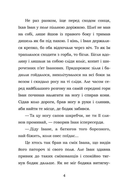 Fireplace Cross / Камінний хрест Vasily Stefanyk / Василий Стефаник 9786177841158-4