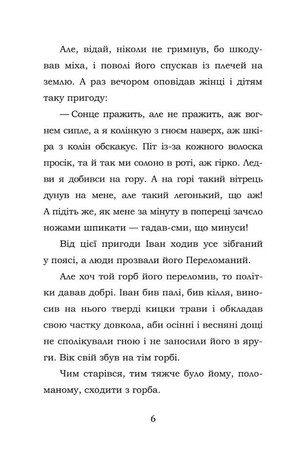 Fireplace Cross / Камінний хрест Vasily Stefanyk / Василий Стефаник 9786177841158-6