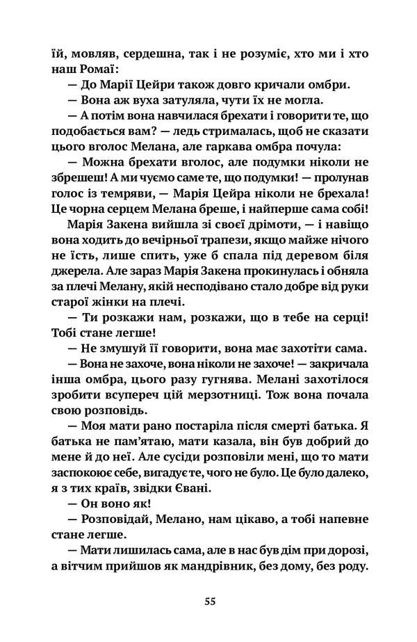 Fireplace orgy / Камінна оргія Евгения Кононенко 978-617-7654-73-4-6