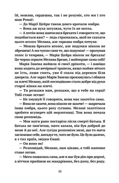 Fireplace orgy / Камінна оргія Евгения Кононенко 978-617-7654-73-4-6
