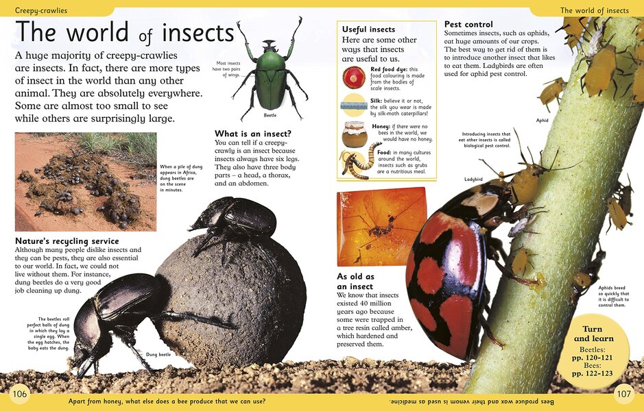First Animal Encyclopedia / Author not specified 9780241188729-3
