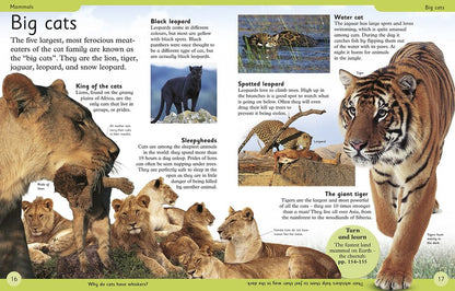 First Animal Encyclopedia / Author not specified 9780241188729-4