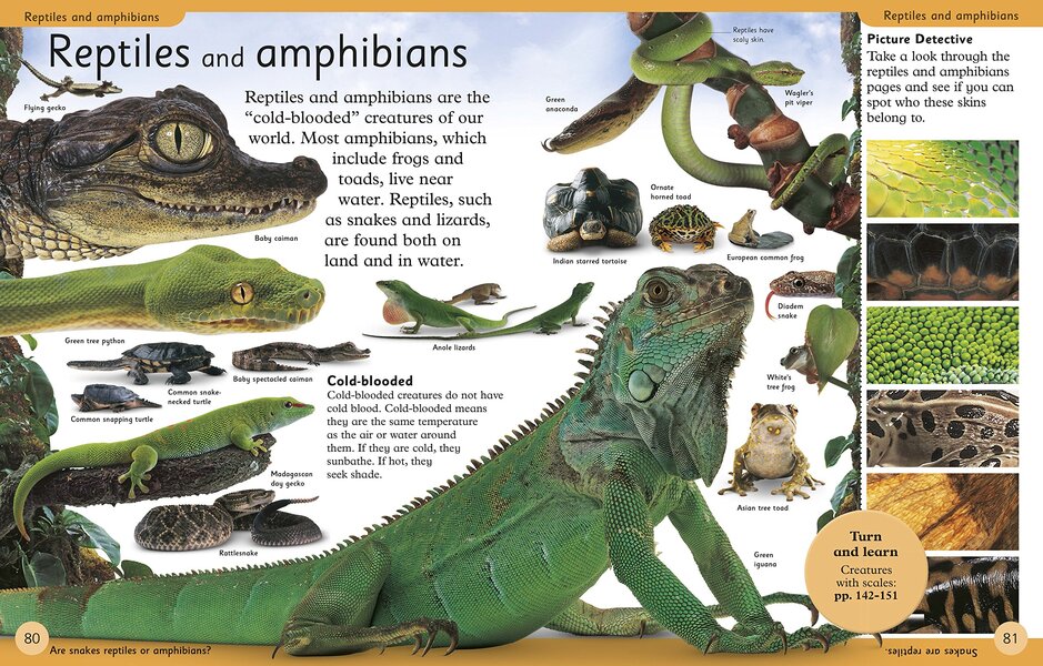 First Animal Encyclopedia / Author not specified 9780241188729-5