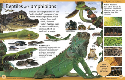 First Animal Encyclopedia / Author not specified 9780241188729-5