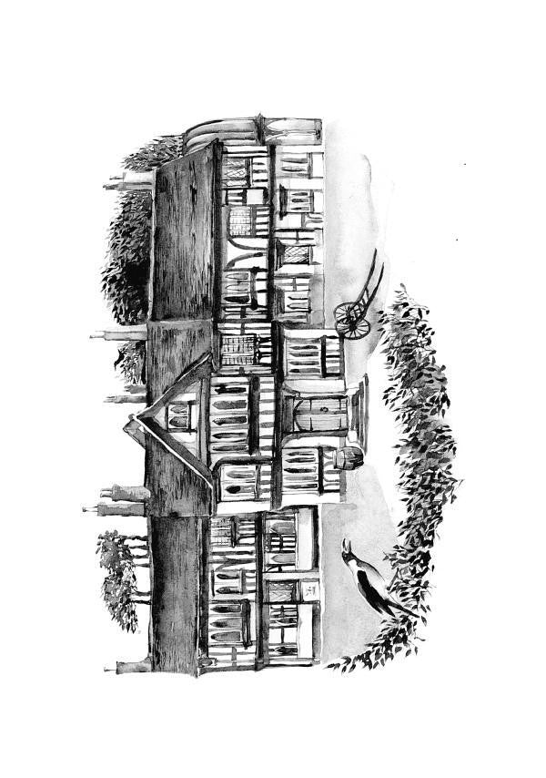 Fitz And The Fool. Book 1. Fool's Assassin Robin Hobb / Робин Хобб 9780007444205-3