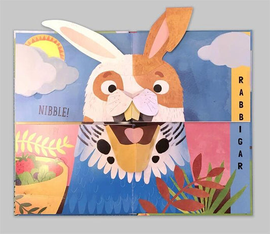 Flip Flap Snap. Pets / Flip Flap Snap. Pets Джоанна МакИнерни 9781787416598-2