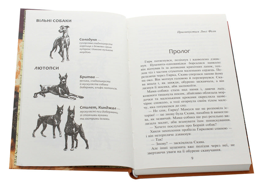 Flock.Book 1. The Empty City / Зграя. Книга 1. Спорожніле місто Эрин Хантер 978-617-7661-71-8-4
