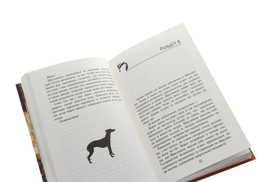 Flock.Book 1. The Empty City / Зграя. Книга 1. Спорожніле місто Эрин Хантер 978-617-7661-71-8-5