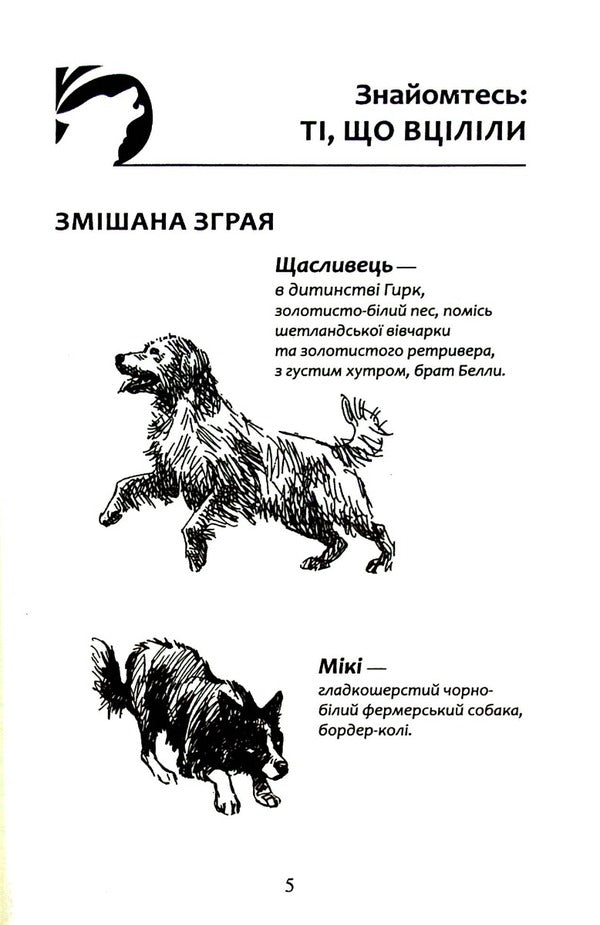 Flock.Book 5. Endless lake / Зграя. Книга 5. Безкрає озеро Эрин Хантер 978-617-8229-15-3-2