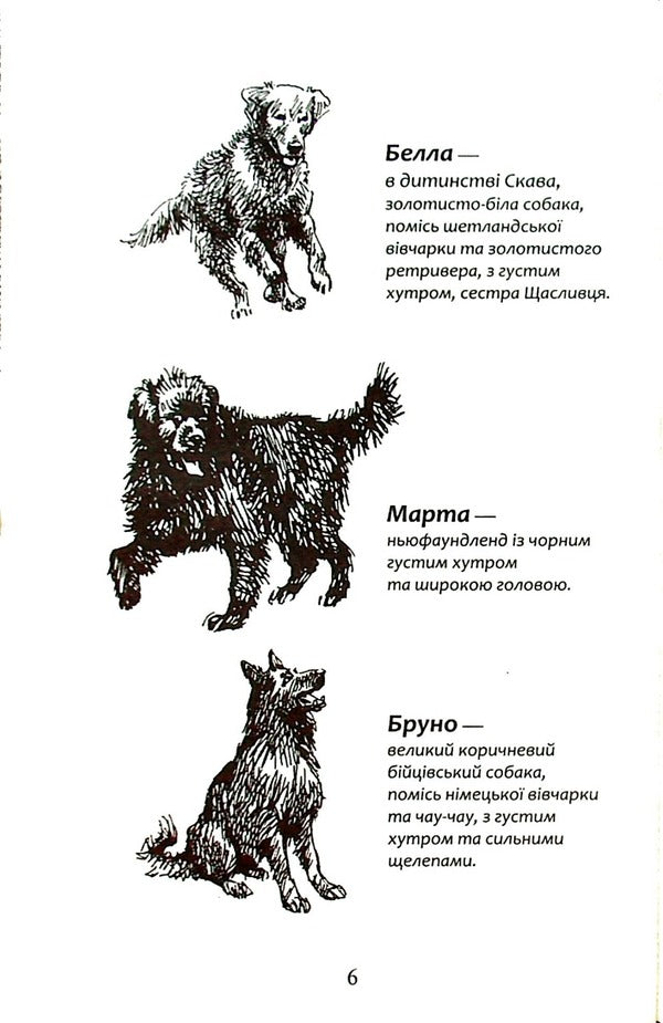 Flock.Book 5. Endless lake / Зграя. Книга 5. Безкрає озеро Эрин Хантер 978-617-8229-15-3-3