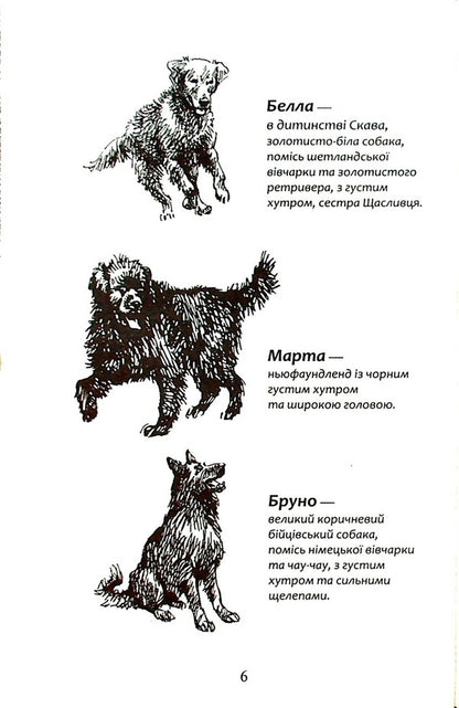 Flock.Book 5. Endless lake / Зграя. Книга 5. Безкрає озеро Эрин Хантер 978-617-8229-15-3-3