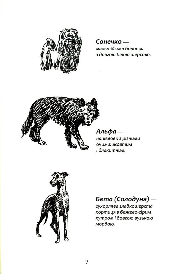 Flock.Book 5. Endless lake / Зграя. Книга 5. Безкрає озеро Эрин Хантер 978-617-8229-15-3-4