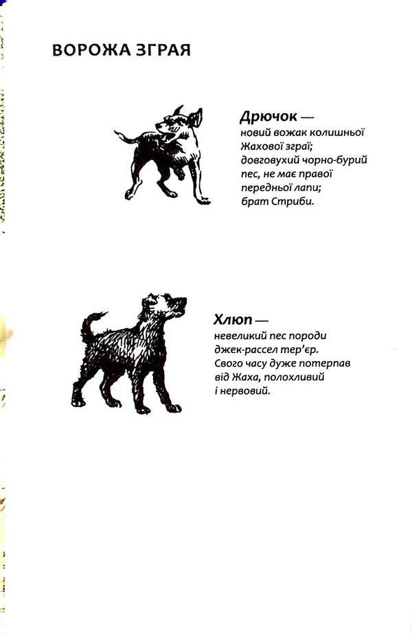 Flock.Book 5. Endless lake / Зграя. Книга 5. Безкрає озеро Эрин Хантер 978-617-8229-15-3-5