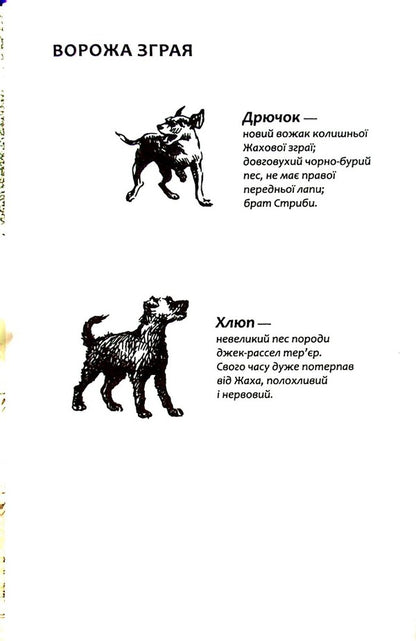 Flock.Book 5. Endless lake / Зграя. Книга 5. Безкрає озеро Эрин Хантер 978-617-8229-15-3-5