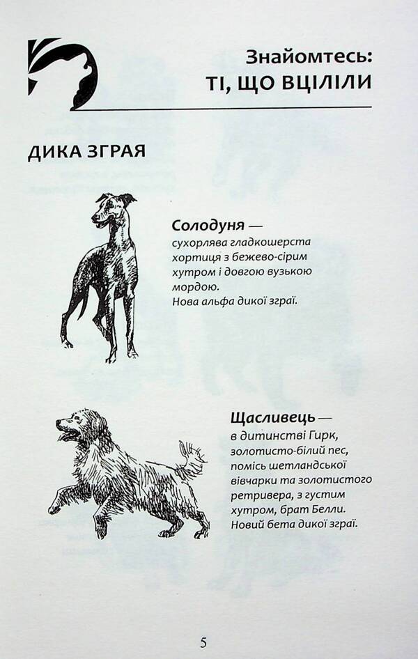 Flock. Book 6. Rabies of dogs / Зграя. Книга 6. Борвій собак Эрин Хантер 978-617-8229-32-0-4
