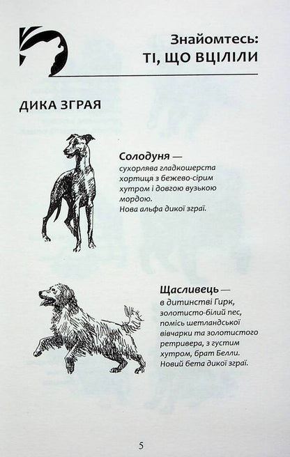 Flock. Book 6. Rabies of dogs / Зграя. Книга 6. Борвій собак Эрин Хантер 978-617-8229-32-0-4