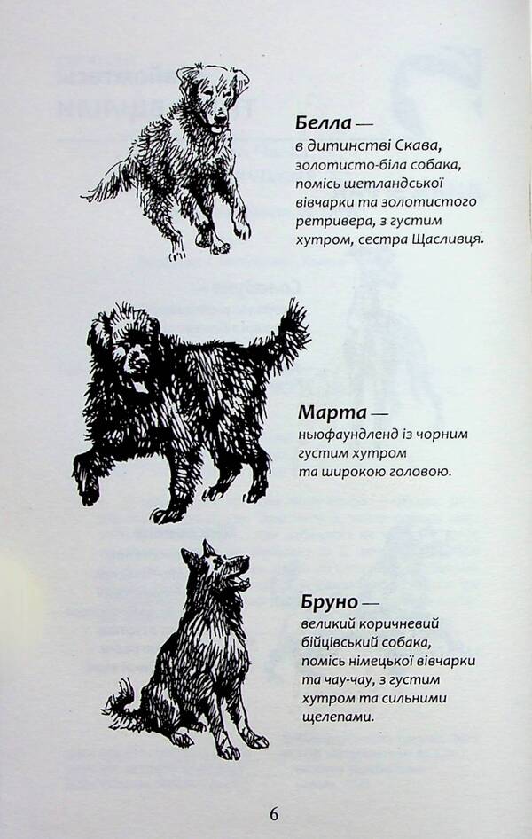 Flock. Book 6. Rabies of dogs / Зграя. Книга 6. Борвій собак Эрин Хантер 978-617-8229-32-0-5