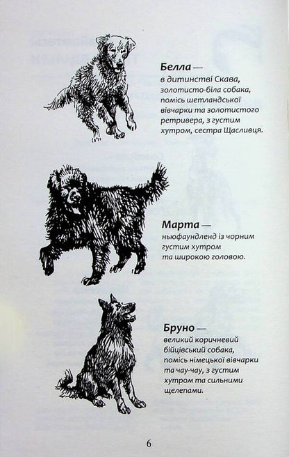Flock. Book 6. Rabies of dogs / Зграя. Книга 6. Борвій собак Эрин Хантер 978-617-8229-32-0-5