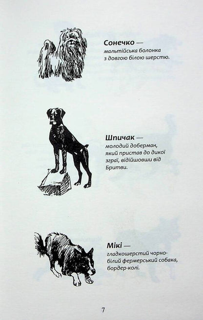 Flock. Book 6. Rabies of dogs / Зграя. Книга 6. Борвій собак Эрин Хантер 978-617-8229-32-0-6