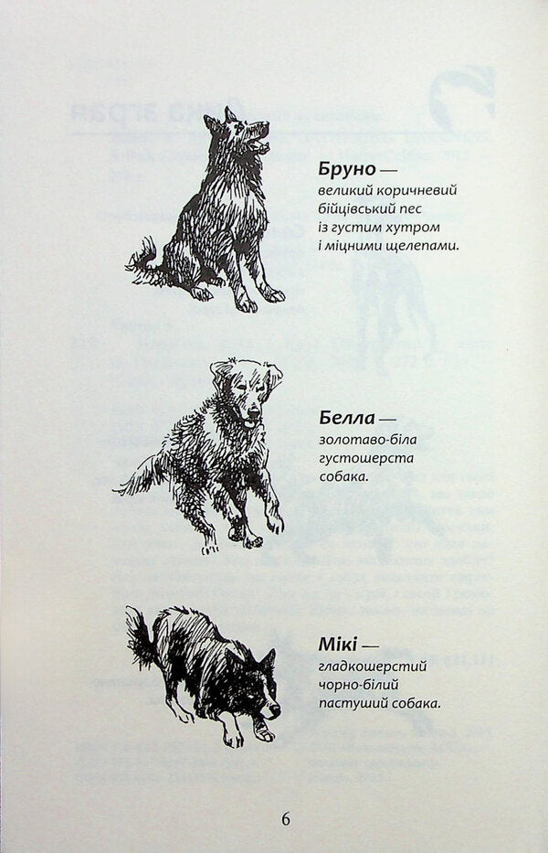 Flock. Eclipse. Book 1. The split pack is / Зграя. Затемнення. Книга 1. Розділена зграя Эрин Хантер 978-617-8387-26-6-4