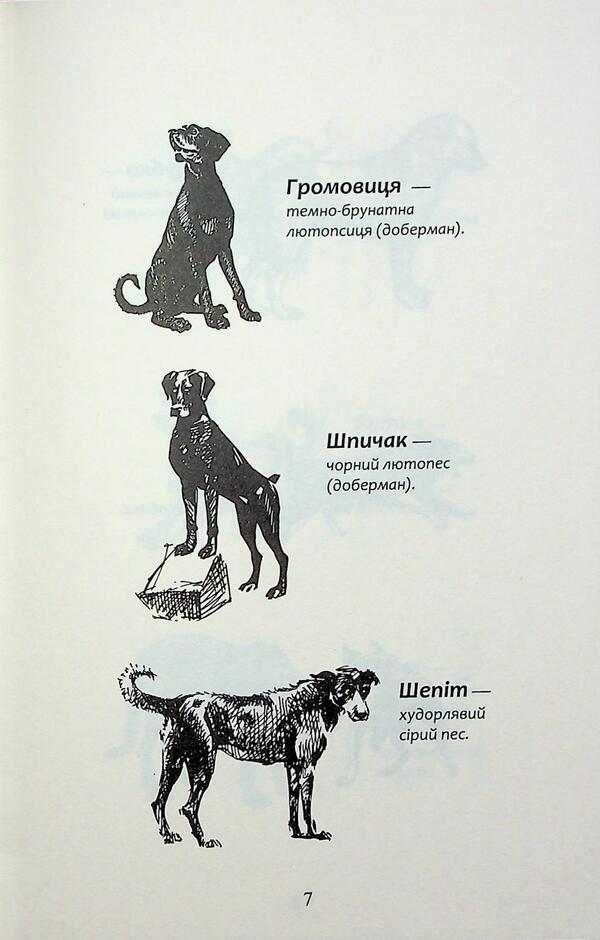 Flock. Eclipse. Book 1. The split pack is / Зграя. Затемнення. Книга 1. Розділена зграя Эрин Хантер 978-617-8387-26-6-5