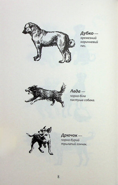 Flock. Eclipse. Book 1. The split pack is / Зграя. Затемнення. Книга 1. Розділена зграя Эрин Хантер 978-617-8387-26-6-6