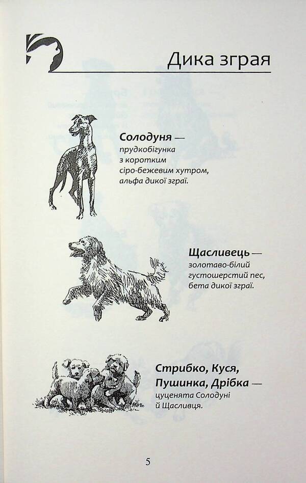 Flock. Eclipse. Book 9. In the fog / Зграя. Затемнення. Книга 9. В імлі Эрин Хантер 9786178387891-3