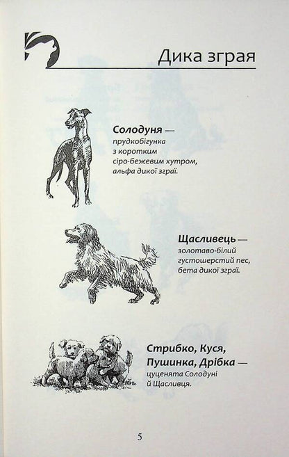 Flock. Eclipse. Book 9. In the fog / Зграя. Затемнення. Книга 9. В імлі Эрин Хантер 9786178387891-3