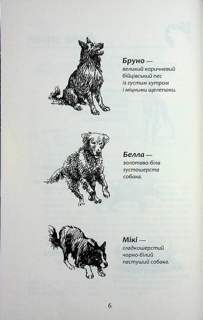 Flock. Eclipse. Book 9. In the fog / Зграя. Затемнення. Книга 9. В імлі Эрин Хантер 9786178387891-4