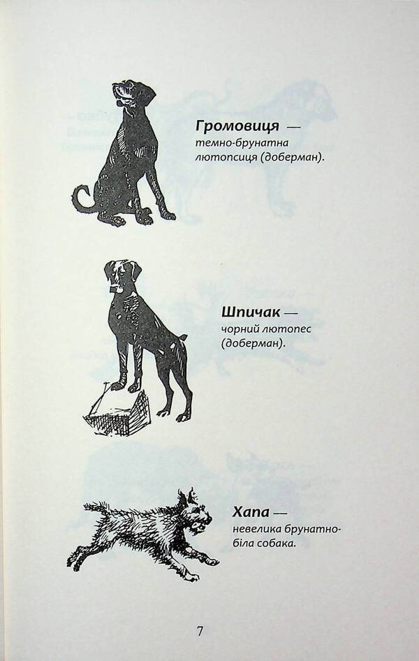 Flock. Eclipse. Book 9. In the fog / Зграя. Затемнення. Книга 9. В імлі Эрин Хантер 9786178387891-5