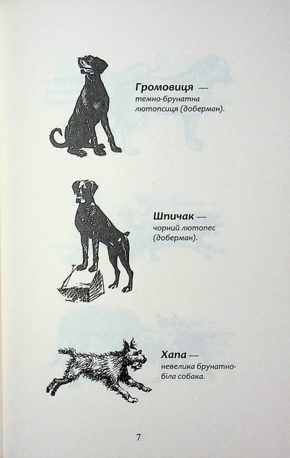 Flock. Eclipse. Book 9. In the fog / Зграя. Затемнення. Книга 9. В імлі Эрин Хантер 9786178387891-5