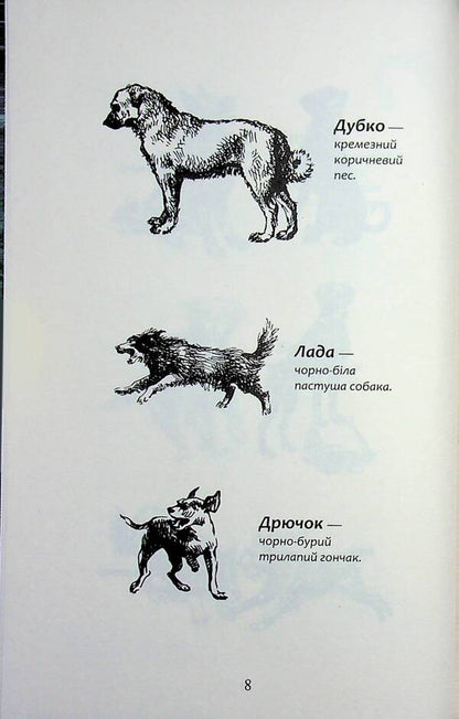 Flock. Eclipse. Book 9. In the fog / Зграя. Затемнення. Книга 9. В імлі Эрин Хантер 9786178387891-6