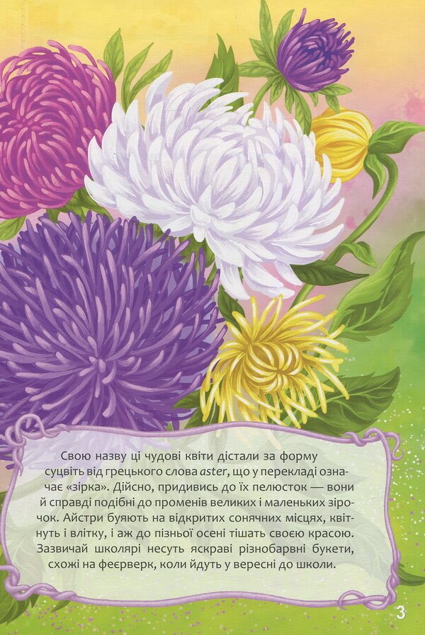 Floral alphabet / Квіткова абетка Владимир Верховень 978-617-695-391-3-4