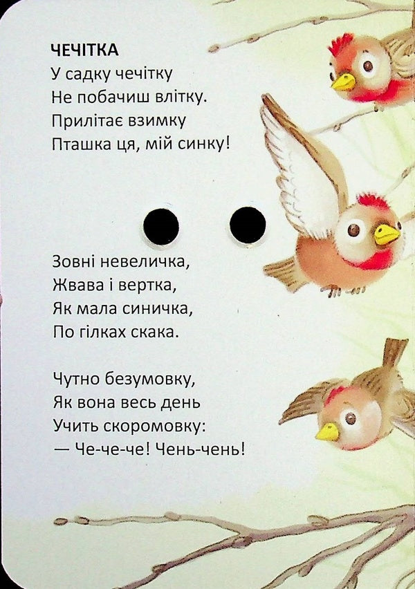 Floral number / Квіткова лічба Владимир Верховень 978-966-989-347-5-5